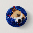 Search for american pit badges Puppy