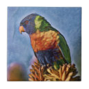 Search for rainbow tiles Australian