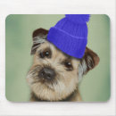 Search for border terrier electronics Flowers