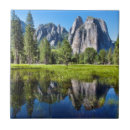 Search for tranquillity tiles Tree