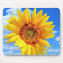 Search for bee flower photo electronics Nature