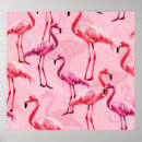 Search for cartoon flamingo posters Nature