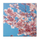 Search for sakura tiles Pattern