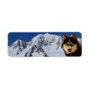 Search for siberian husky return address labels Canine