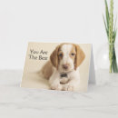 Search for beagle puppies cards Photography