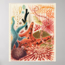 Search for echinoderm posters Starfish