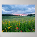 Search for good morning beautiful posters Sunrise
