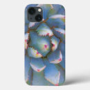 Search for rf cases Plant