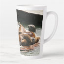 Search for california sun mugs San francisco