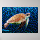 Search for blue sea art Turtle