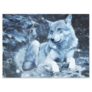 Search for wolf tissue paper nature