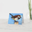 Search for chickadees cards Bird