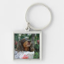 Search for dachshund key rings Domestic animals