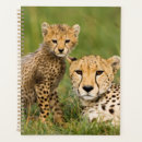 Search for parent planners Cute