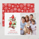 Search for red cardinal christmas cards Rustic