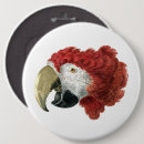 Search for macaws badges Parrot