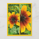 Search for blankets postcards Book