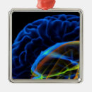 Search for human brain christmas tree decorations Horizontal