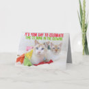 Search for crazy cat lady birthday cards Cute