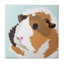 Search for pig tiles Vintage