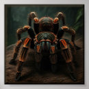 Search for tarantulas art Wildlife