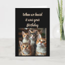 Search for from the cat birthday cards Humour