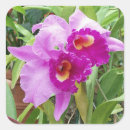 Search for purple orchid stickers Floral
