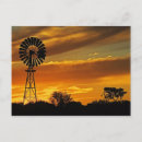 Search for silhouette postcards Sunset