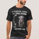 Search for cute labrador retriever Chocolate lab