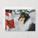 Search for rough collie christmas cards Pet