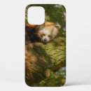 Search for panda protectors electronics Tree