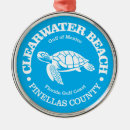 Search for clearwater beach christmas tree decorations Tampa