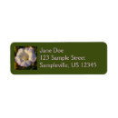 Search for desert flowers return address labels Nature