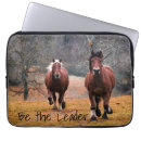 Search for stallion cases Nature