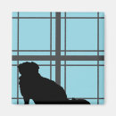 Search for window magnets Pet