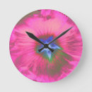 Search for velvet clocks Flowers