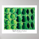 Search for apples posters Healthy