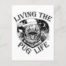 Search for lived postcards Funny