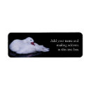 Search for reflections return address labels Water