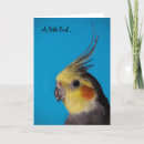 Search for parrot birthday cards Yellow