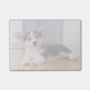 Search for pembroke corgi post it notes Pet