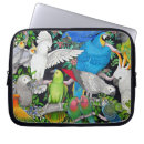 Search for parrot electronics Cockatoo