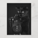 Search for katz postcards Tiere