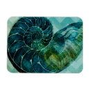 Search for spiralled magnets Shell