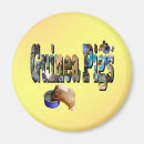 Search for guinea pig magnets Pet