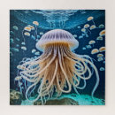 Search for underwater photography Coral reef