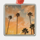 Search for santa monica christmas tree decorations Ocean