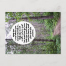 Search for forest path postcards Hike