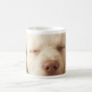 Search for yellow labrador retriever mugs Animal