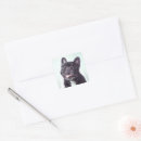Search for bulldog portrait stickers Domestic animals